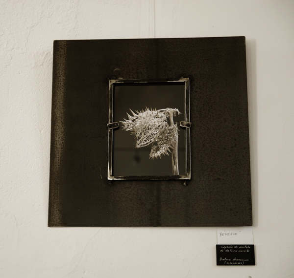 cadre photographie expo